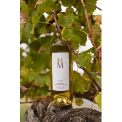 Vin Blanc Monbazillac Bio 75Cl Domaine du Haut Montlong direct producteur - Bergerac / Monbazillac / Pomport