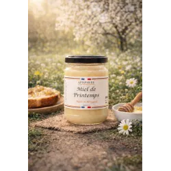 Miel de Printemps du Périgord – Saveurs Florales Artisanales