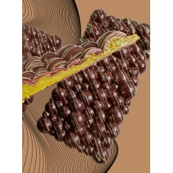 Tablette artisanale de chocolat à la Pistache d'Iran